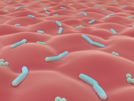 Antibiotická léčba v prvním roce života, narušení střevního mikrobiomu a riziko atopické dermatitidy