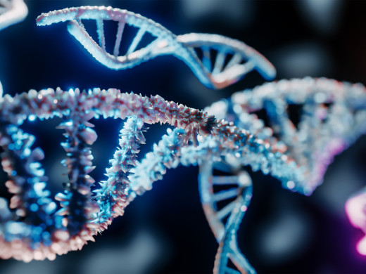 Imunitu nebo tloušťku ovlivňují i geny neandrtálců, říká expert