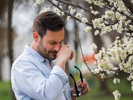 Jaro spouští vlnu alergií