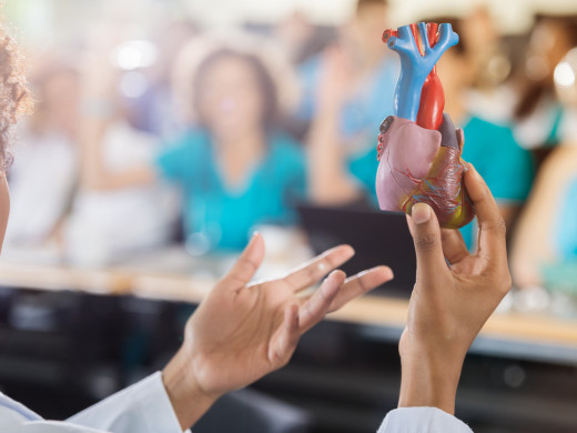 Anatomie prostupuje všemi lékařskými obory. Jak mohou mrtví pomáhat živým?