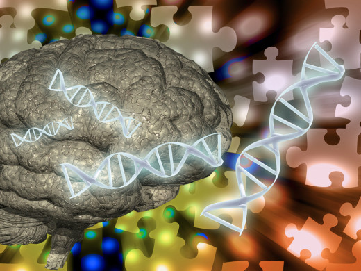 Čeští vědci popsali mutaci genu, která způsobuje „alzheimera“