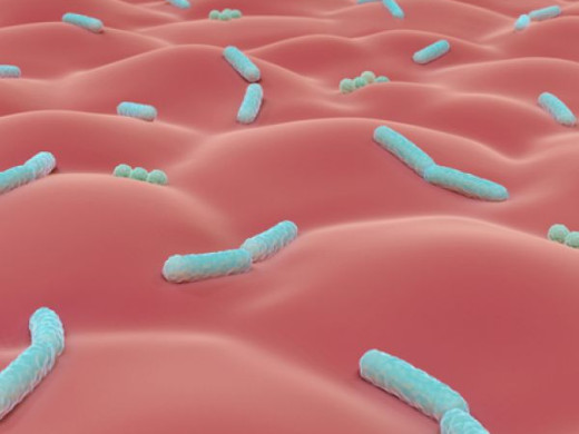 Mikrobiom a chronické choroby