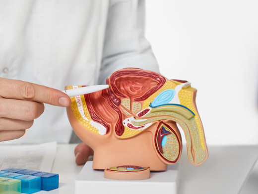 Erektilní dysfunkce a léčba hypertenze