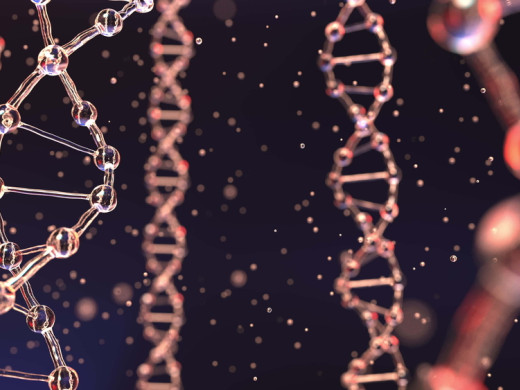 Dědičnost lipidů – je to vše jen o genetice?