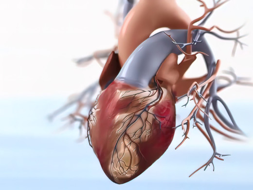 „Jízdní řád“ pro česká srdce vznikne do konce roku