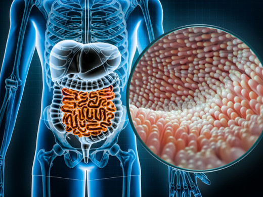Mikrobiom v souvislosti s CHOPN
