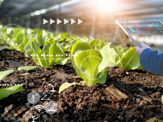 Jak mohou pomoci chytré potraviny v prevenci civilizačních nemocí?