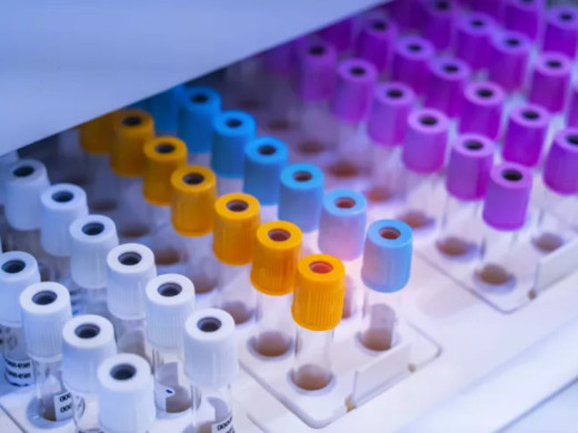 ČR by se mohla stát evropským lídrem v oblasti biotechnologií