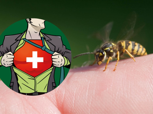 Alergické a anafylaktické reakce