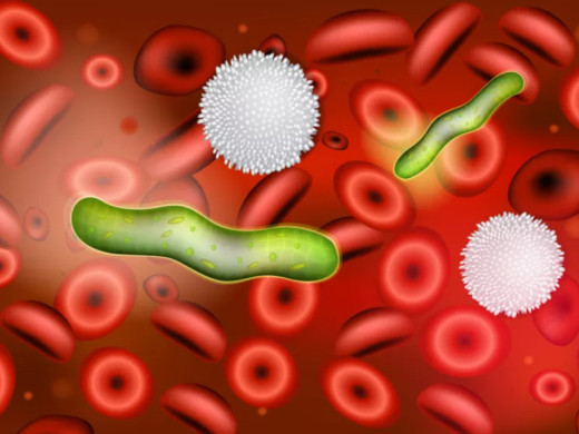 O zdravý trávicí trakt je potřeba usilovat hned od prvního dne