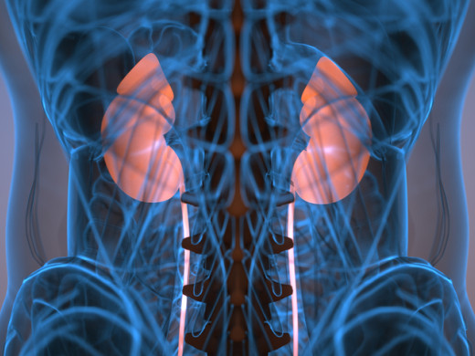 Nemocné ledviny tiše kradou léta vašeho života, varují lékaři