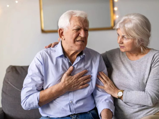 „Infarkt na chipu“. Zařízení umožní lepší pochopení poškození srdce