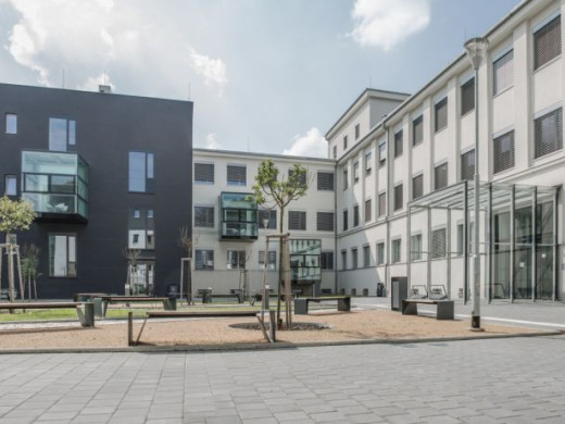 Ostravská fakulta má možná poslední šanci