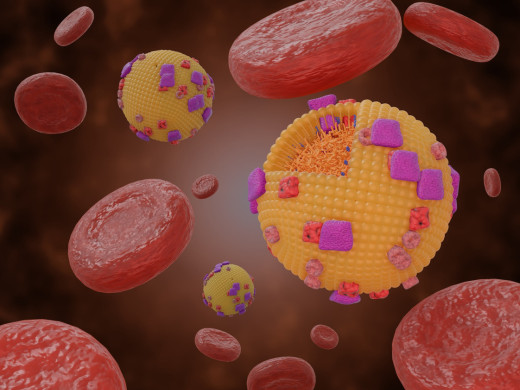 Nejčastější otázky k lipoproteinu (a)
