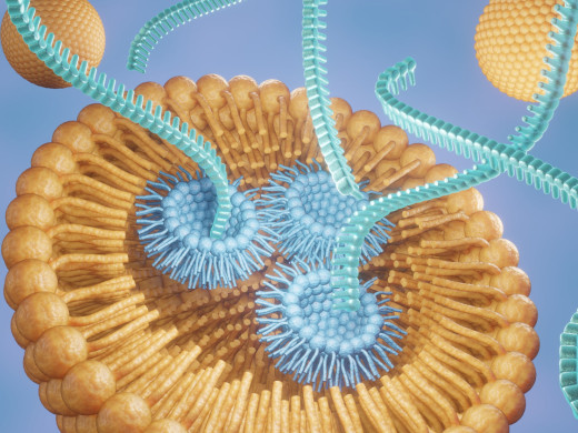 Inhibice syntézy angiotenzinogenu: nový přístup k léčbě hypertenze